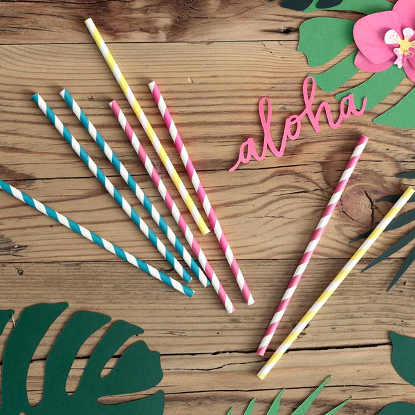 pajitas diseños papel